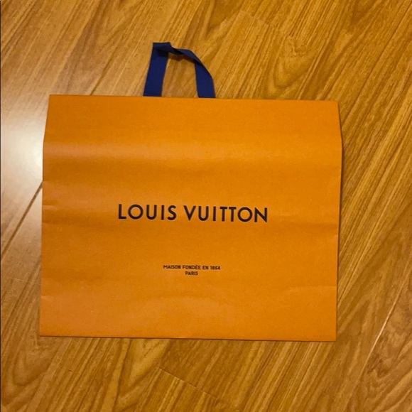 Louis vuitton baggie